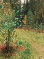 Landscape from Gopsmor